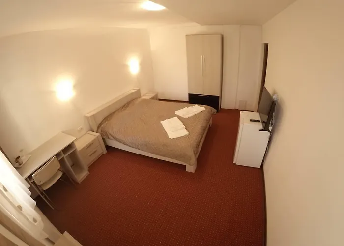 Casa Tiky Pensionat 3*