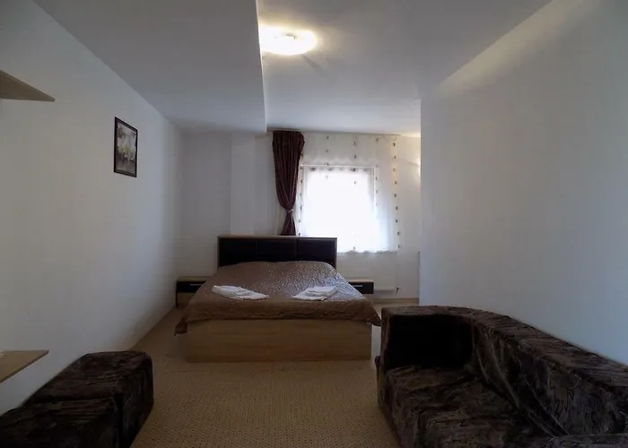 Casa Tiky Pensionat 3*