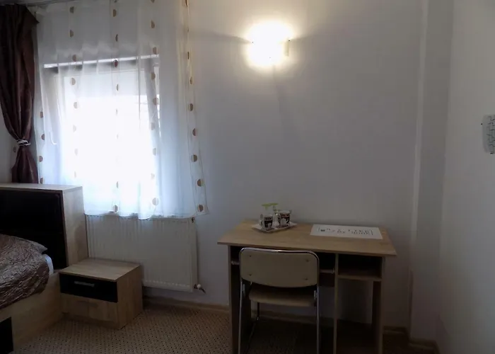 Pensionat Casa Tiky Timişoara