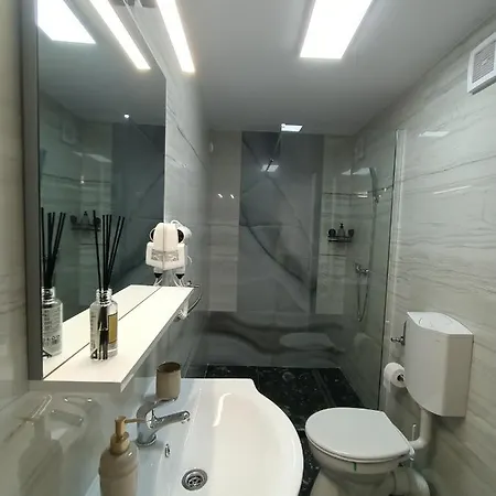 Pensionat Casa Tiky Timişoara